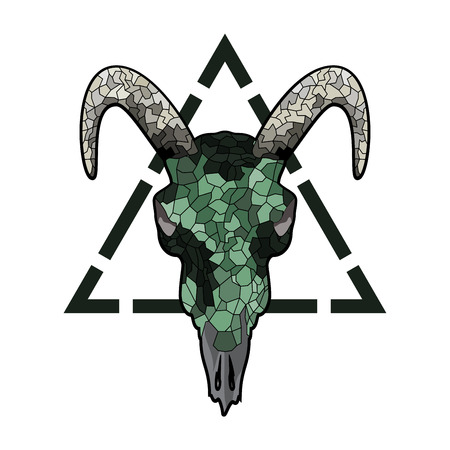 Skull of a bull on a colorful paint texture. Vector boho chic illustration for a poster, postcard, t-shirt print.のイラスト素材
