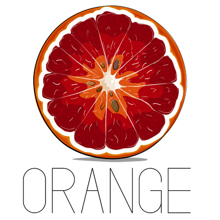 Juicy vector vitamin fruit. Orange citrus illustration. Slice food fresh print. Organic vegetarian healthy imageのイラスト素材