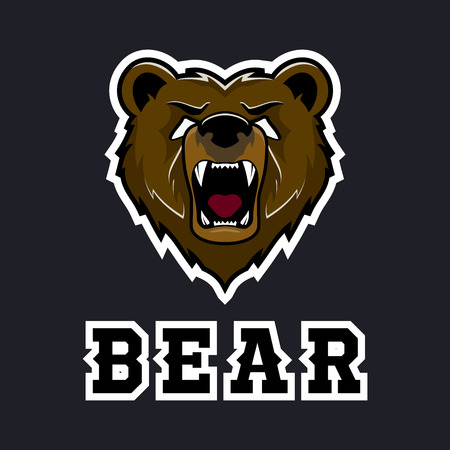 Modern professional grizzly bear  for a sport teamの写真素材