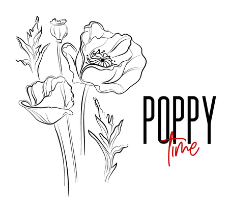 Vector poppy flowers decorative print. Nature flowers black white illustration. Poppier bloom summer plants. Botanical artのイラスト素材