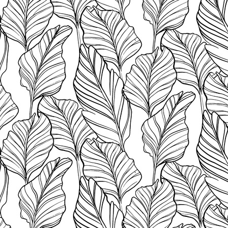 Tropical seamless pattern with nature leaf Hand drawn black art line sketch on white background. Vintage texture abstract wallpaper Wild jungle Graphic design for market packing, print vintage textileの写真素材