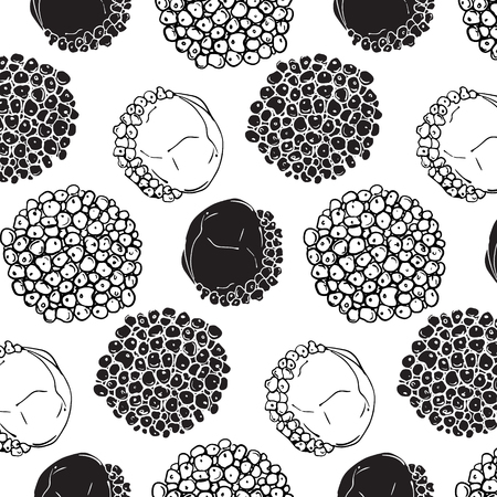 Monochrome black white tropical fruit pattern. Modern exotic decoration. Strange corcle lichee background.のイラスト素材