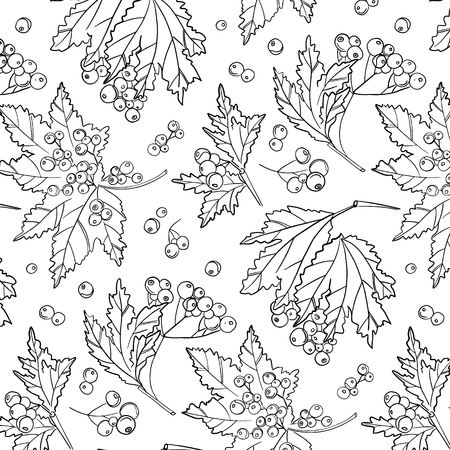 Rowan berry pattern. Autumn white black cover decoration. Wildflower plant with leaves and berries. botanical isolated wrapのイラスト素材