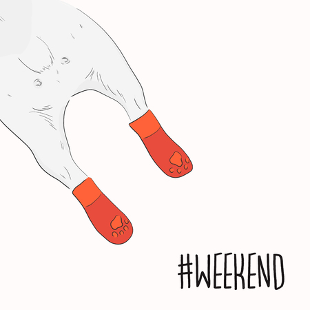 Funny pug back with weekend quote illustration. Cool cartoon character decoration. Saturday and Sunday typographic. Cute Dog sleeping in winter socksのイラスト素材
