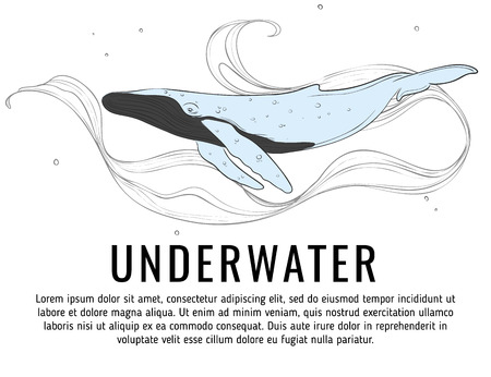 Big whale cute character. Underwater sea humpback lina artのイラスト素材