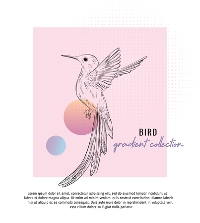 Small colibri vector illustration with typography.  Digital art with trendy geometric shapes and gradient mesh. Small brid duoone contemporary templateのイラスト素材