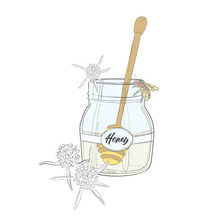 Nature cartoon honey and bee illustration. Big jar of honey advertising hand drawn sketch. Line art. Eco food.のイラスト素材