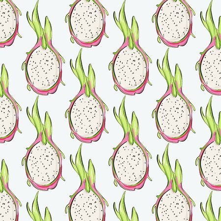 tropical dragon  fruit sketch drawing. Sweet vegetarian succulent. Exotic cactus modern paint, trendy illustration.のイラスト素材