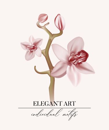 Watercolor orchid branch, soft rose hand drawn floral illustration isolated on aivory background. Bridal art, wedding  illustration, greting card, tender rose bloom holiday design, realistic vector.のイラスト素材