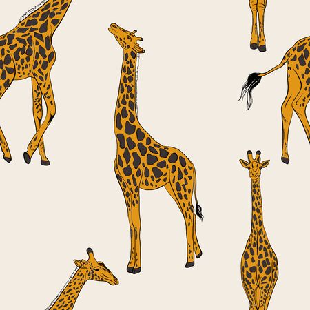 Seamless giraffe pattern, african animal nursery print. Wrapping paper wildlife background. Scandinavian vector childish illustration, cartoon abstract design. Hand-drawn wrappipng paper art . のイラスト素材