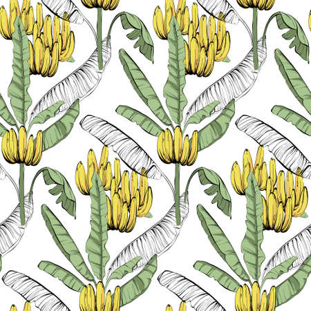 Banana custom jungle fabric seamless pattern, tropical exotic home decor wallaper, textile cloth design. Line art sketch unique creative summer vibes, wild nature background in vectorの写真素材