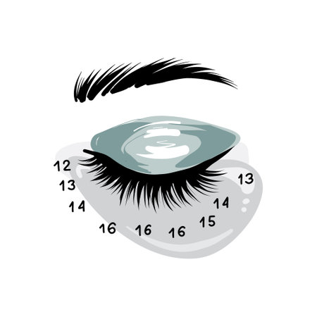 Eyelash extension art, lash mapping Beauty Cosmetics treatment,  Professional beauty branding social media highlights icons set. Custom drawing , eyebrow CT in vectorのイラスト素材