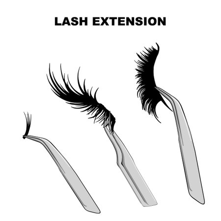 Eyelash types, false eyelashes Extension Procedure. Woman Eye with Long Eyelashes. Doll Lashes vectorのイラスト素材