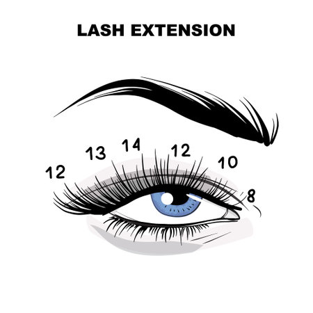 Eyelash extension microblading beauty procedure. Beauty salon treatment, meakeup, self care illustration in vector. Volume lashes  eyelash mappingのイラスト素材