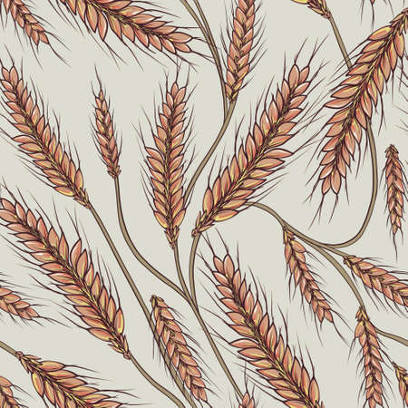 Wheat or rye harvest seamless pattern, watercolor fall illustration on white background, autumn printの写真素材