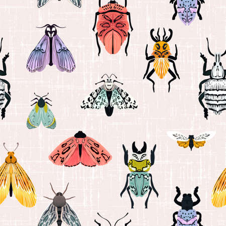 Insect butterfly and bugs seamless pattern, summer patel illustrationの写真素材