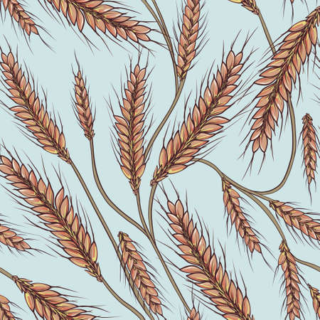 Wheat grain seamless pattern, harvest fall print, autumn crop designの写真素材