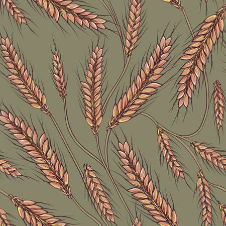 Wheat field grain seamless pattern.GOlden rural plant background  Late summer and autumn desing, Outdoor farming print.の写真素材