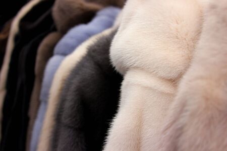The fur coats in the shop. The furry background. In the wear shopの写真素材