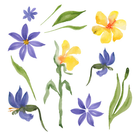 watercolor floral set isolated on white background. hand painted green leaves, flowers and branches. vector  illustrationのイラスト素材