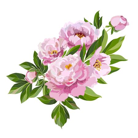 Decorative bouquet of pink peonies on a white background. Greeting card template with flowers. Vector illustration.のイラスト素材