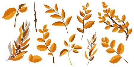 Decorative autumn branches and leaves. Natural orange design elements for decoration. Vector illustration.のイラスト素材