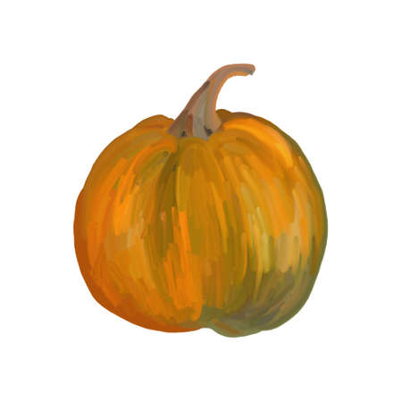 Illustration of a yellow-green pumpkin isolated on a white background.の写真素材