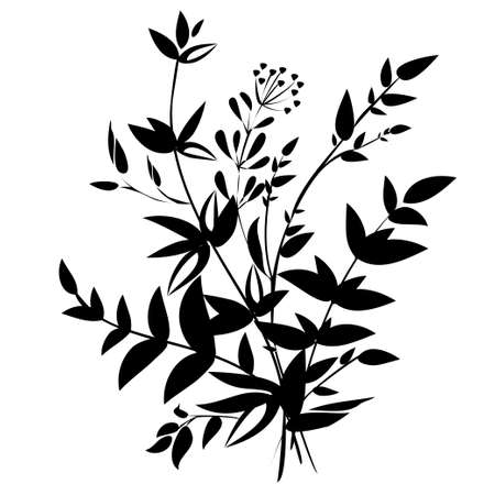 Plant bouquet with various branches. Black and white floral vector silhouette.のイラスト素材