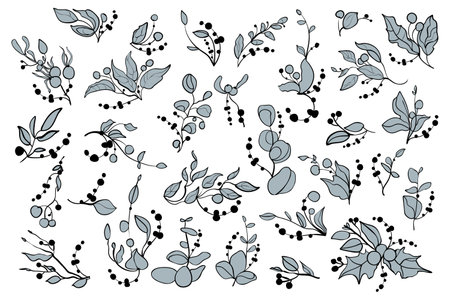 Vector floral collection. Decorative contour leaves, branches and berries. floral illustrationのイラスト素材