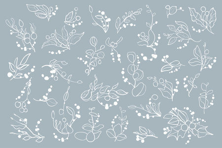 Vector graphic floral set. Floral collection of decorative leaves, branches and berries.のイラスト素材