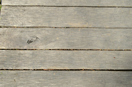 Natural texture for design and decoration. creative wood background. Nature.の写真素材