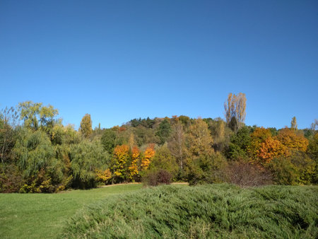 Autumn landscape, nature in the park, natural backgroundの写真素材