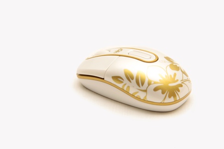 mouse