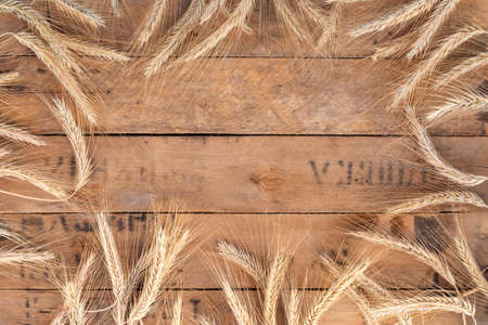 Wheat ears on a wooden background. Harvest concept. With copy space.の写真素材