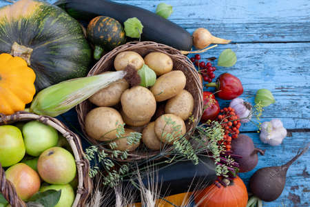 Autumn harvest of vegetables and fruits on a blue wooden table. View from above. The concept of...