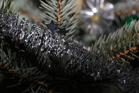 Decoration hanging on Christmas tree Photo of Czech Republic Europeの写真素材
