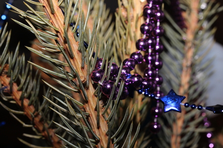 Decoration hanging on Christmas tree Photo of Czech Republic Europeの写真素材