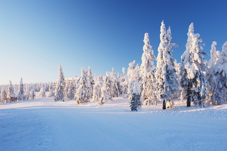 Winter sunset in the Krkonose mountains, Czech Republicの写真素材