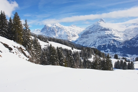 Grindelwald, winter scenery, Swiss Alpsの写真素材