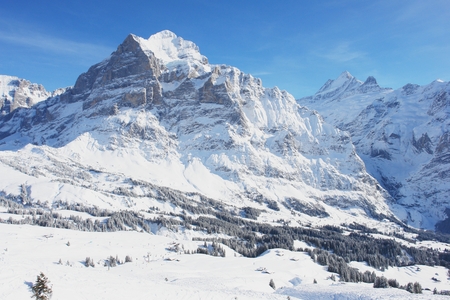 Grindelwald, winter scenery, Swiss Alpsの写真素材