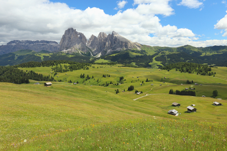 Alpe di Siusi Largest high altitude Alpine meadow in Europe, South Tyrolの写真素材