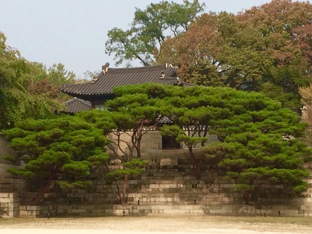 Cultural heritageの素材