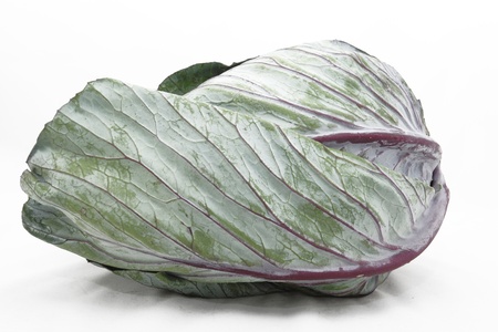 red cabbage