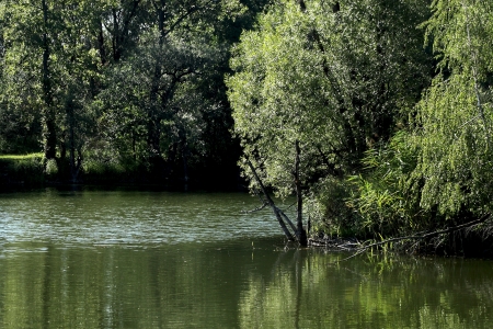riverの写真素材