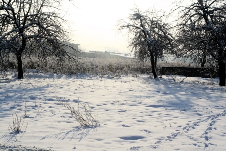 winterの写真素材
