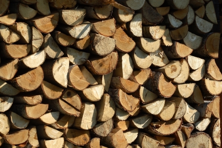 woodの写真素材