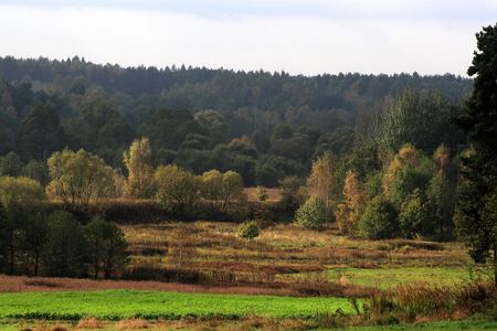 landscapeの写真素材