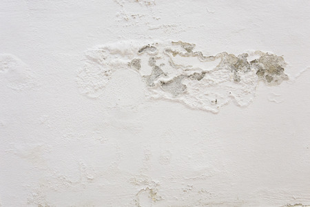 mold on the wallの写真素材