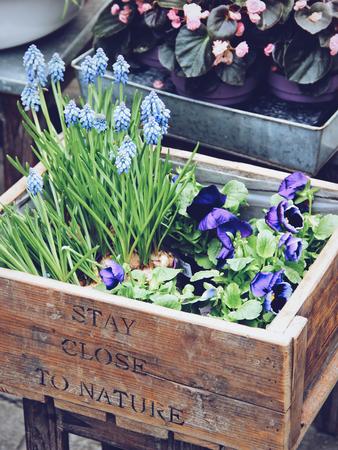 Stay close to nature. Flower collection. Urban scene.の写真素材