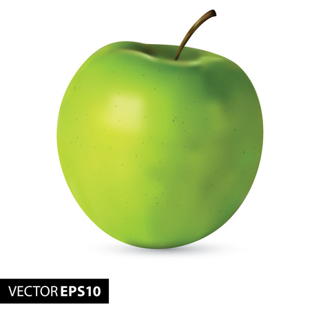 Fresh green realistic appleのイラスト素材
